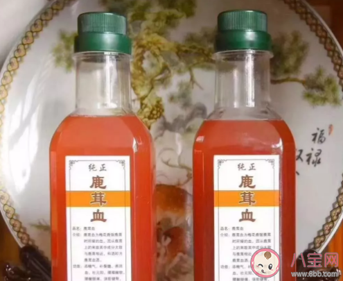 鹿茸血酒可以提高免疫预防心血管疾病是真的吗 鹿茸血酒要如何保存 鹿茸血酒可以提高免疫预防心血管疾病是真的吗 鹿茸血酒要如何保存