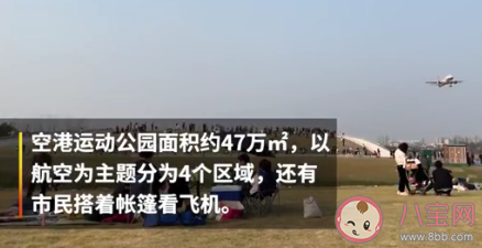 成都飞机起降最佳观赏点在哪 免费开放是真的吗