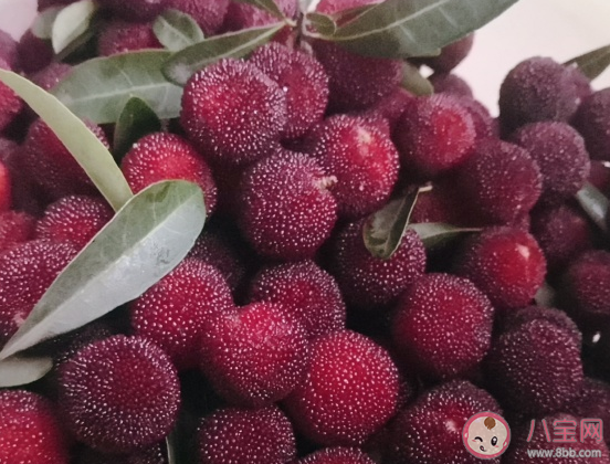 自己去摘梅子发朋友圈说说 自己摘梅子心情感慨句子