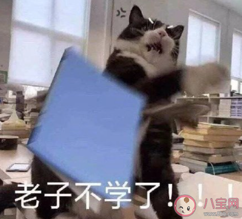 春困的朋友圈搞笑说说句子 春困想睡觉的幽默文案