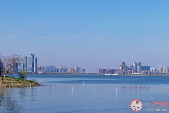 春日阳光正好发朋友圈文案 春日天气真好唯美浪漫句子