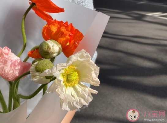 春日阳光正好发朋友圈文案 春日天气真好唯美浪漫句子