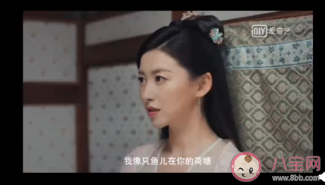赘婿楼舒婉是穿越来的吗 楼舒婉喜欢宁毅吗