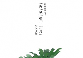 2021三月请善待我发朋友圈文案 新的三月创意文案大全