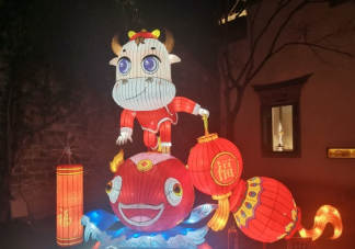 2021元宵节看灯会发朋友圈说说 元宵节看灯会心情感慨