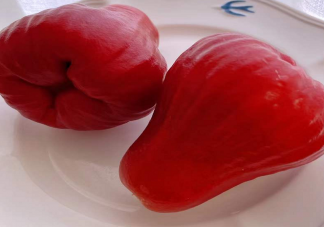 莲雾是什么味道的 莲雾是热性还是寒性水果