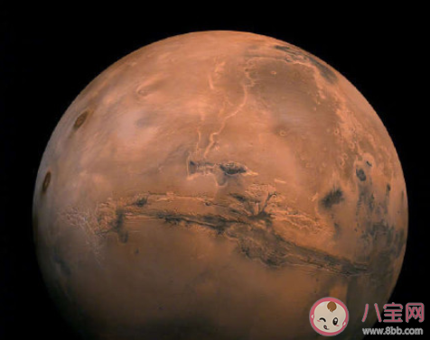 地球上哪些微生物可在火星暂时存活 火星上是否有生命存在