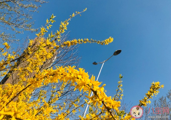 春天去公园游玩的心情说说 春天游玩发朋友圈句子