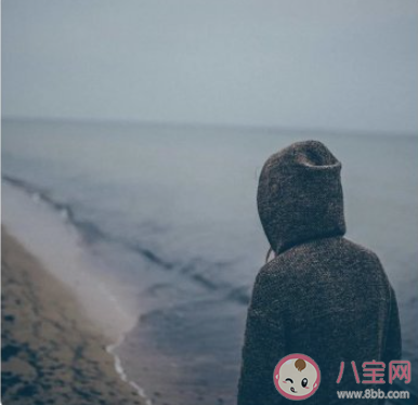 她站在地球的另一边看月亮是什么歌 《TA》完整版歌词在线听歌