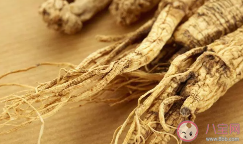 女人长期喝西洋参对身体好不好 西洋参搭配什么泡水喝合适