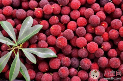 杨梅吃多了为什么牙齿会变酸 吃杨梅后要漱口吗