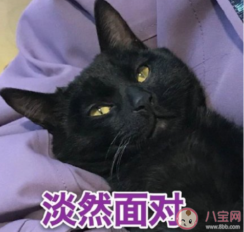 每周工作4天半可行吗 人社部如何回应4.5天弹性工作制