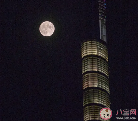 抖音他站在地球的另一边看月亮是什么歌 关于月亮的小诗