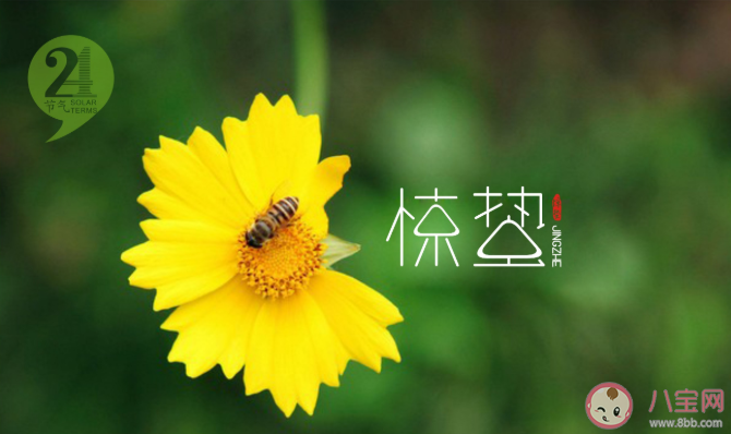 2021惊蛰节气借势文案怎么写 惊蛰节气文案句子分享