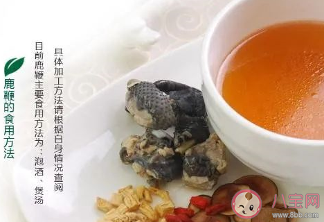 鹿茸和鹿鞭能一起泡酒喝吗 鹿茸和鹿鞭泡酒有什么功效