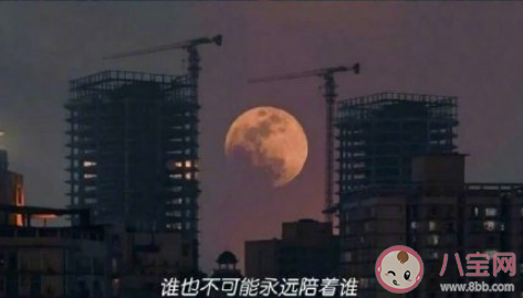 对感情很失望不再碰感情的说说 表示对感情绝望了的心情句子