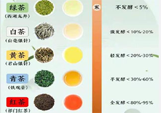 并没有专门的绿茶树红茶树吗 红茶和绿茶一般是用什么茶树