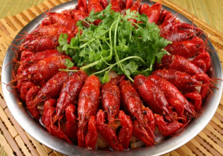 吃龙虾时头部到底能不能吃 小龙虾选购小技巧