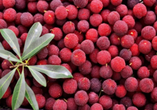 杨梅吃多了为什么牙齿会变酸 吃杨梅后要漱口吗