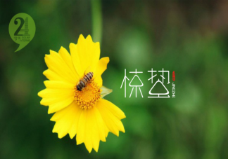 2021惊蛰节气借势文案怎么写 惊蛰节气文案句子分享