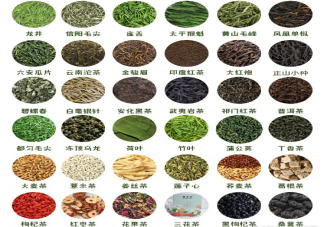 一棵茶树可以炒成不同颜色的茶叶 为什么同样的叶子做成不同的茶