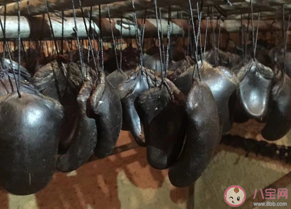 梅花鹿鹿尾巴有哪些食用方法 鹿尾的功效和作用是什么