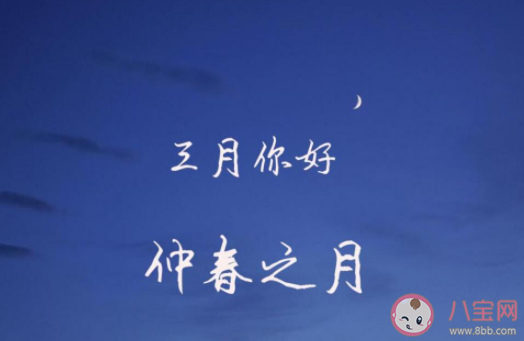 三月干净治愈温柔的朋友圈说说 三月治愈温暖的文案说说大全