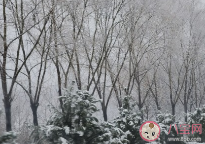正月打雷下雪是什么征兆 春天打雷下雪是好是坏