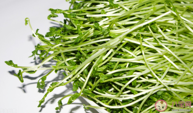 豌豆苗吃多了会胀气吗 豌豆苗没熟吃了会中毒吗