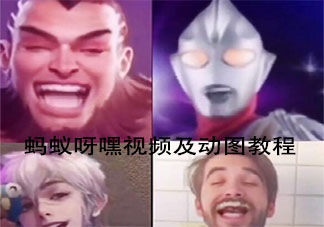 抖音蚂蚁呀嘿视频及动图怎么做 蚂蚁呀嘿是什么歌