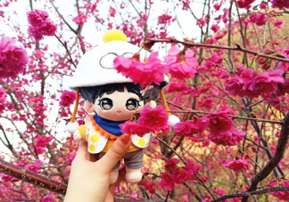 带孩子春游踏青发朋友圈的说说 春天带宝宝踏青心情短语