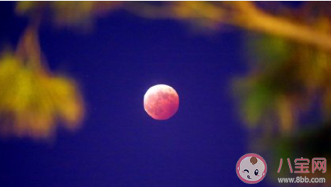 正月十五最佳赏月时间是几点 今年元宵十五的月亮十六圆吗