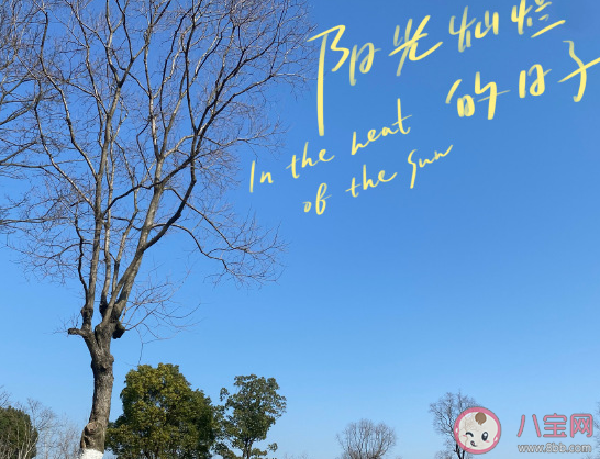 2021二月最后一天朋友圈配图说说 二月最后一天心情感悟