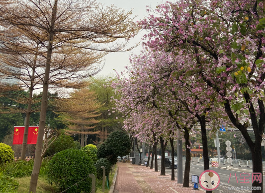 2021关于三月的心情说说精美图片大全 适合三月份发的短句语录句子