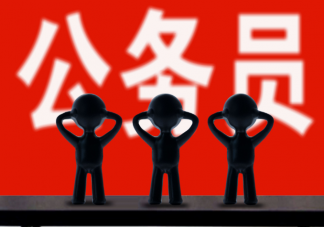 年轻人考公是图安逸吗 名校生考公是浪费学历吗