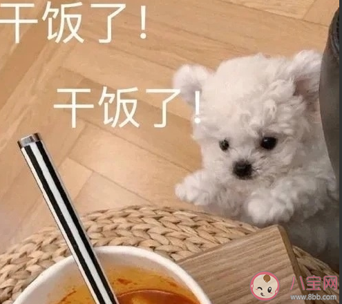 周末心情放松的感言句子 周末惬意的心情感慨大全