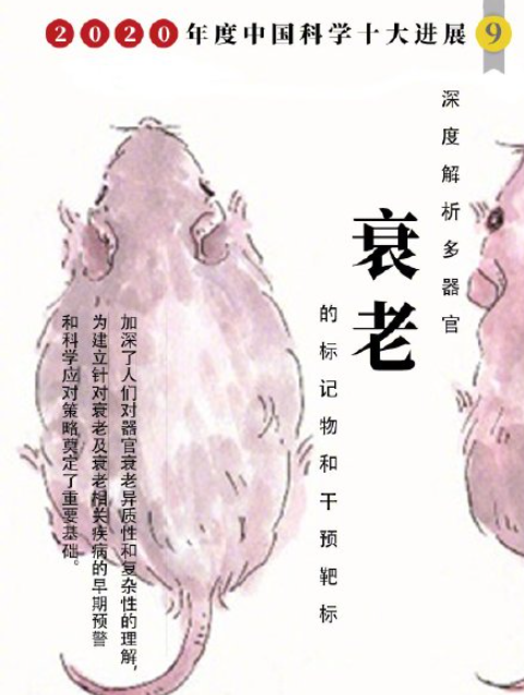 2020年度中国科学十大进展是什么 具体是哪十大进展