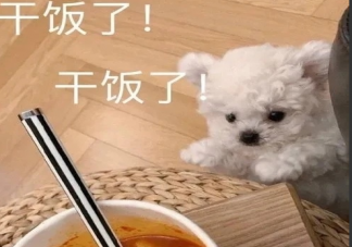 周末心情放松的感言句子 周末惬意的心情感慨大全