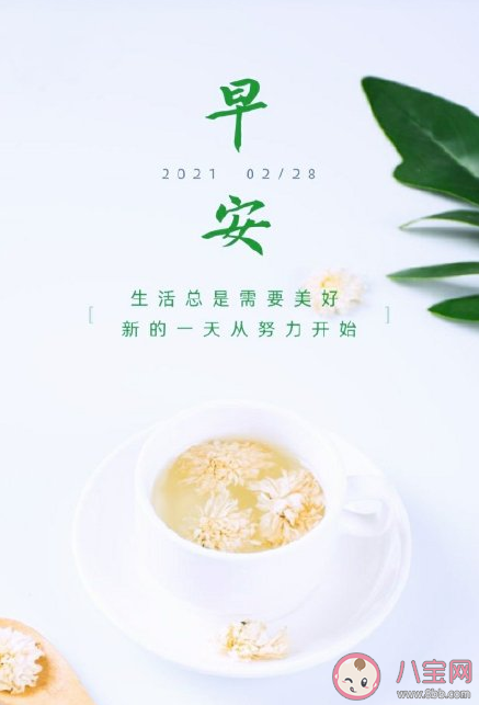 2月最后一天早安正能量心情句子 2月最后一天朋友圈文案说说带图