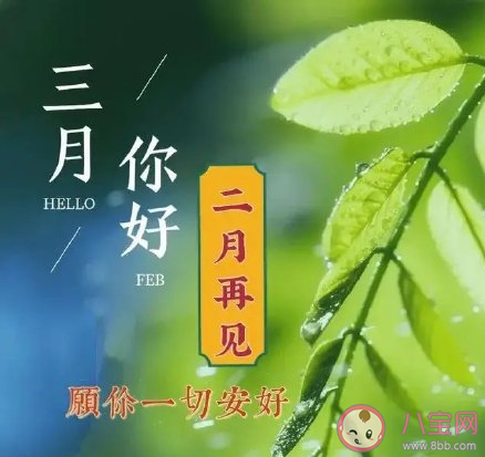 2021二月再见三月你好温暖励志朋友圈文案 二月再见三月你好图片带字说说