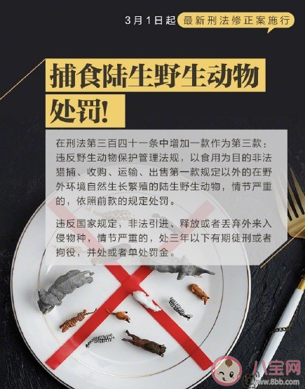​3月新规具体内容 2021年3月1日起这些行为触犯刑法