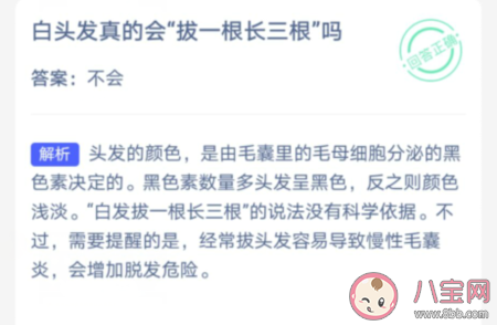 白头发真的会拔一根长三根吗 蚂蚁庄园3月1日答案