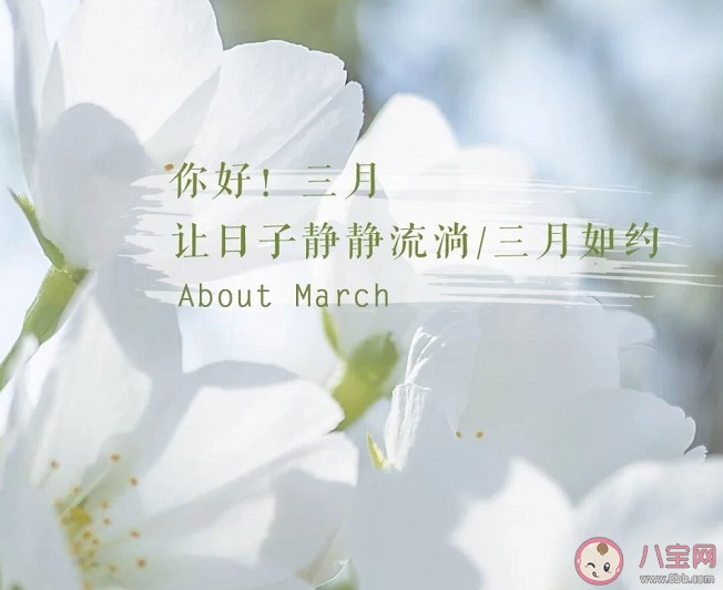 三月温柔治愈文案短句 三月文案优美说说句子合集