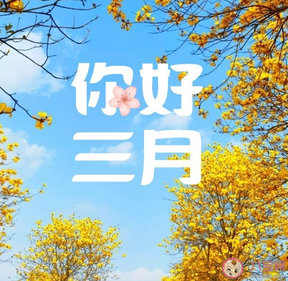 三月温柔治愈文案短句 三月文案优美说说句子合集