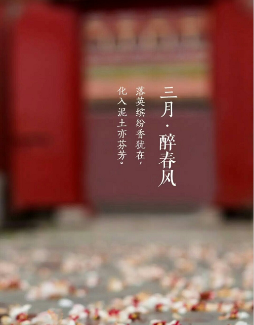 三月你好文案励志句子 三月壁纸高清无水印图片大全
