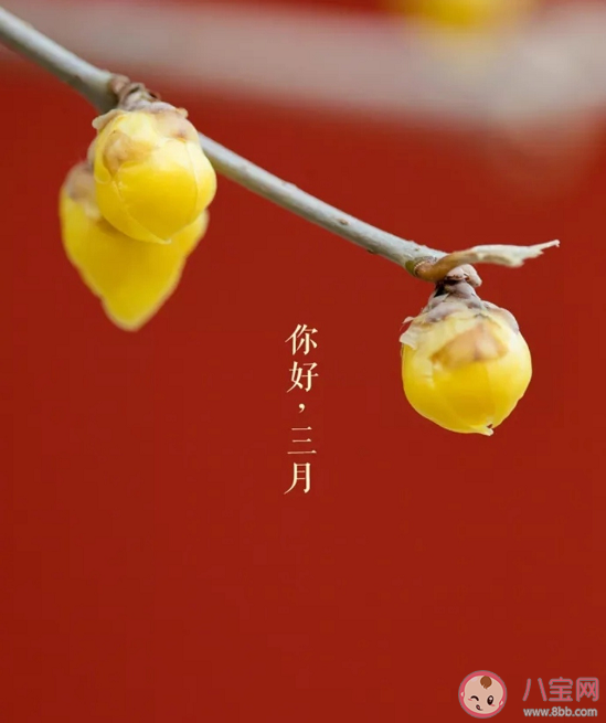 阳春三月朋友圈温暖正能量句子 阳春三月经典美好语录