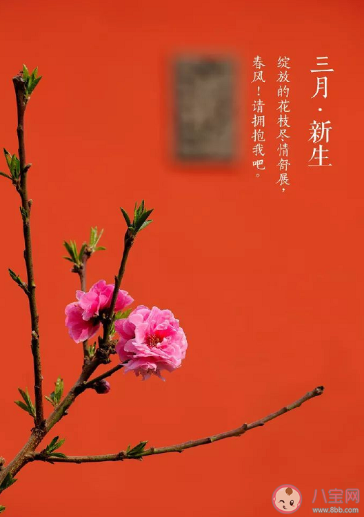 阳春三月朋友圈温暖正能量句子 阳春三月经典美好语录