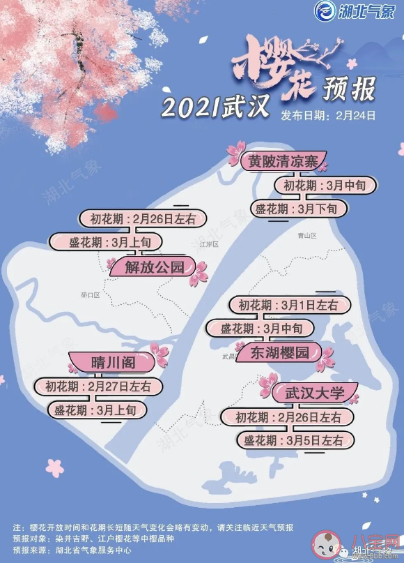 2021武大发布赏樱时间 武大樱花预报出炉