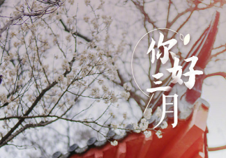 三月温柔治愈文案短句 三月文案优美说说句子合集