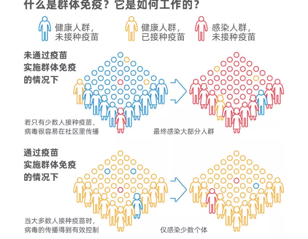 全球群体免疫需两至三年是真的吗 群体免疫什么意思